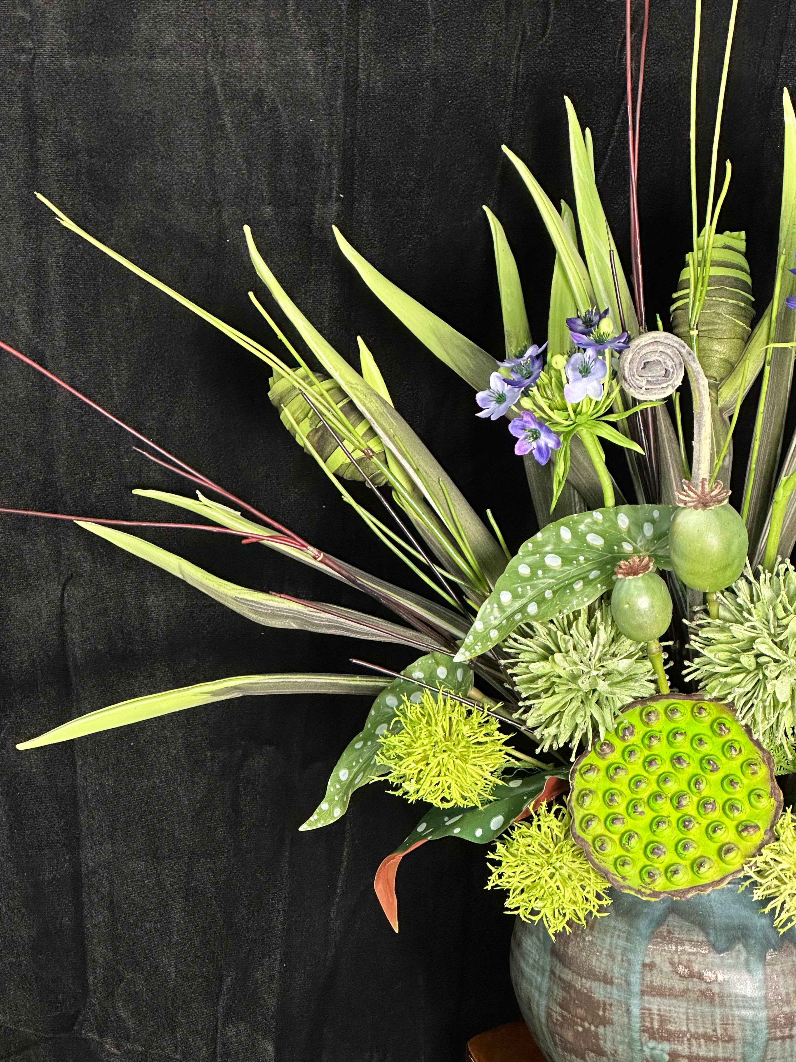 Exotic Majesty