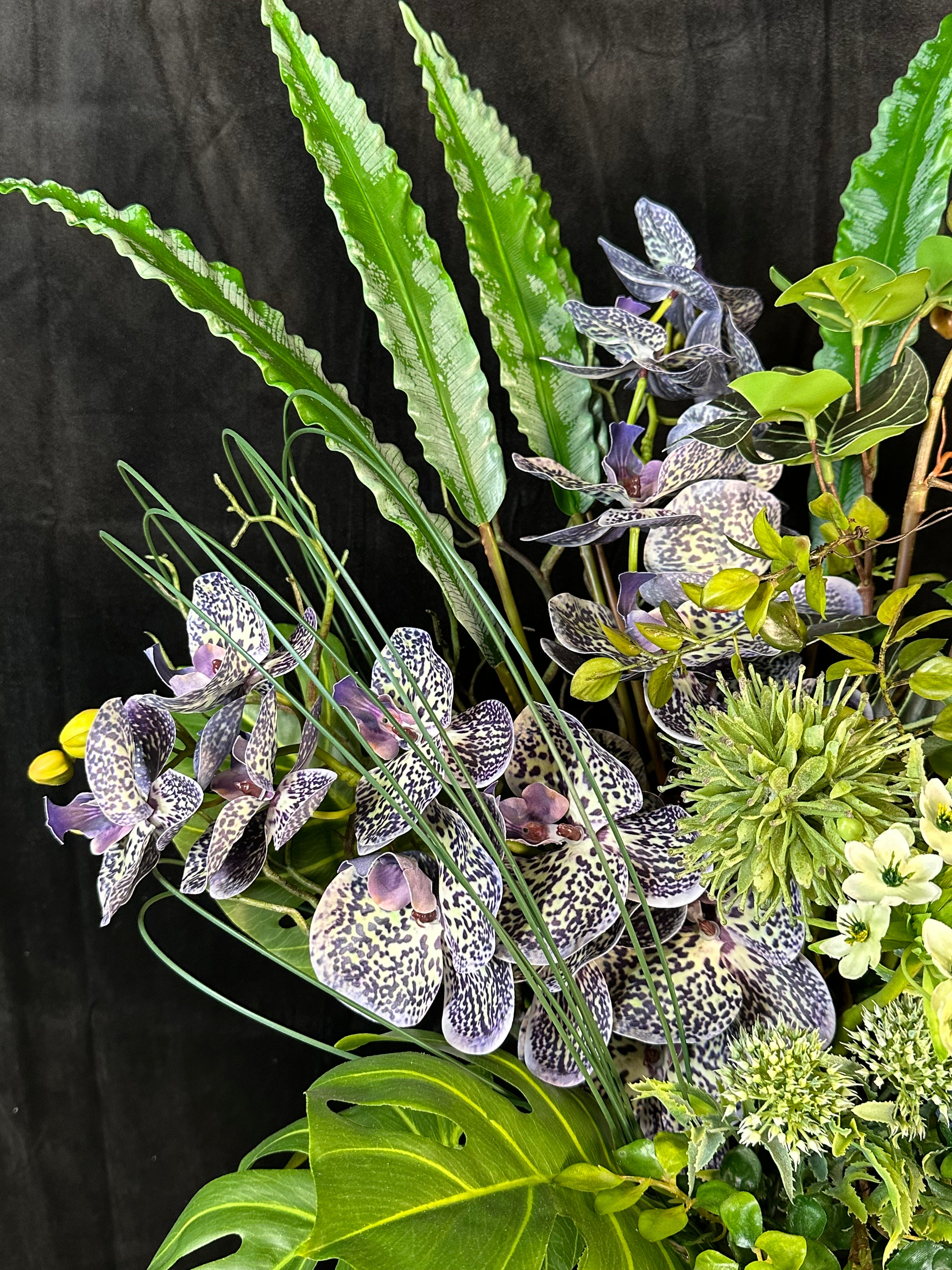Jungle Rhapsody