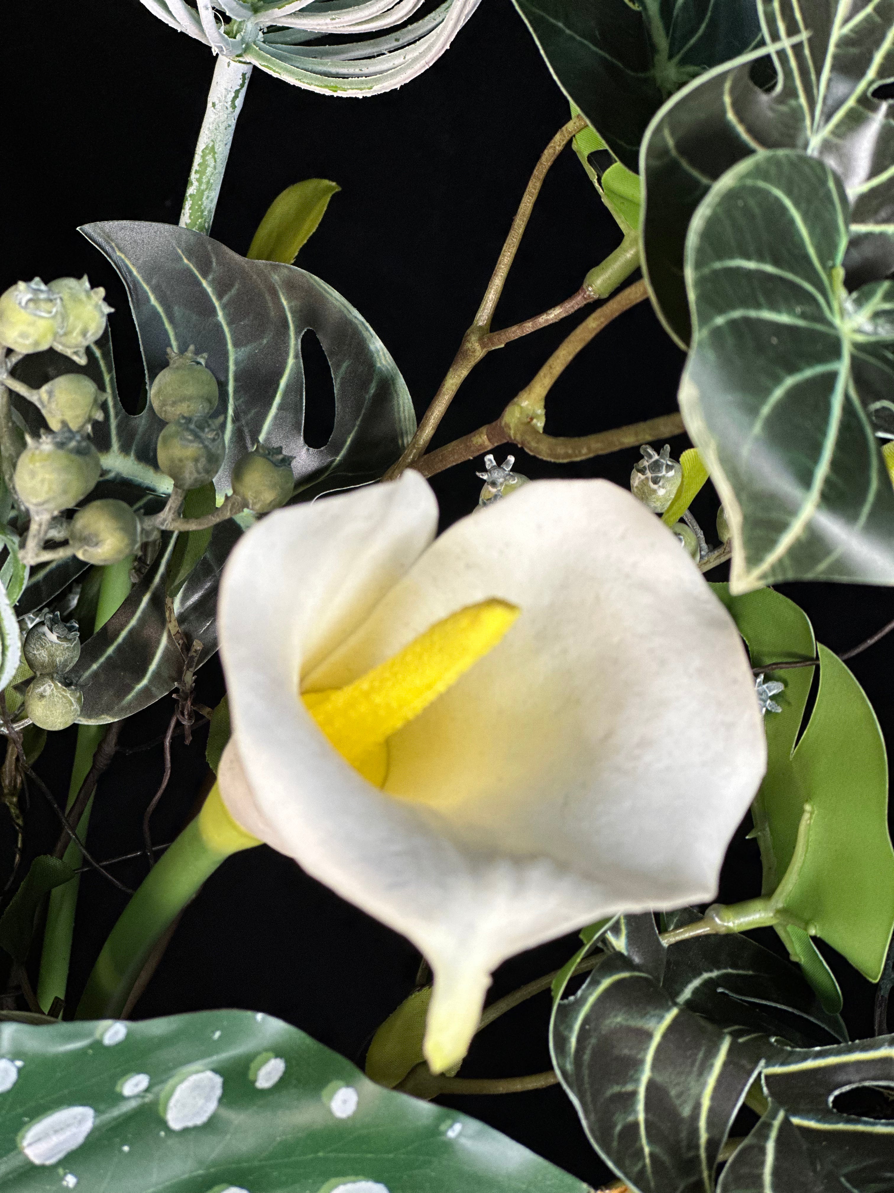 Verdant Whimsy