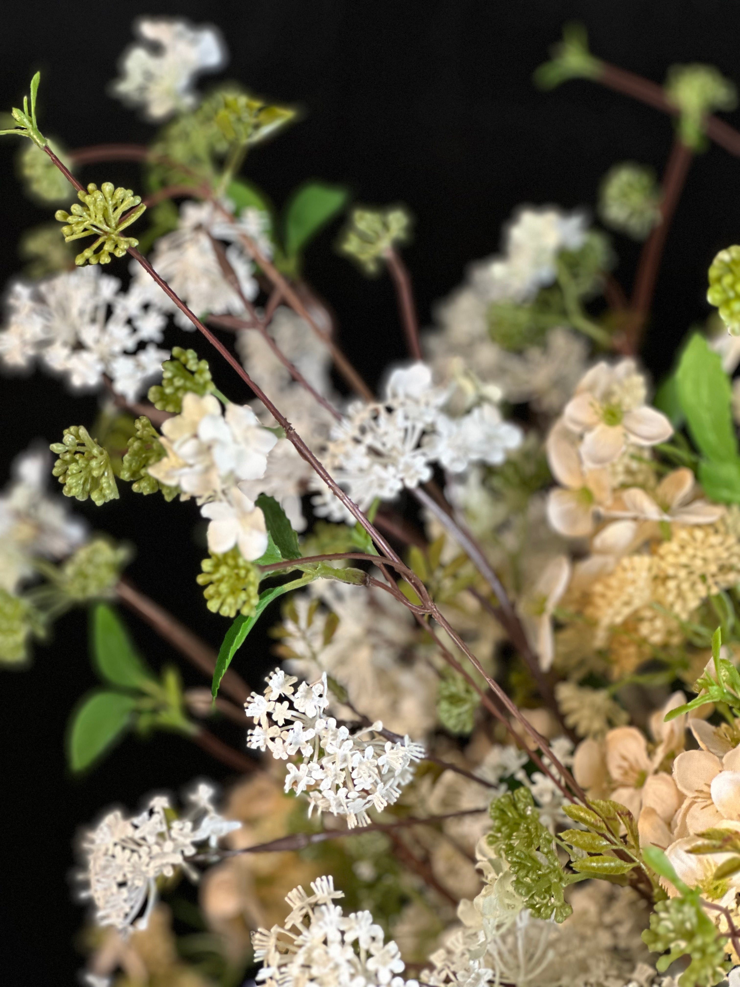 Whispering Spring